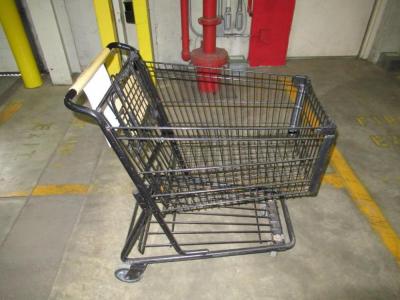 (27) SHOPKO SHOPPING CARTS